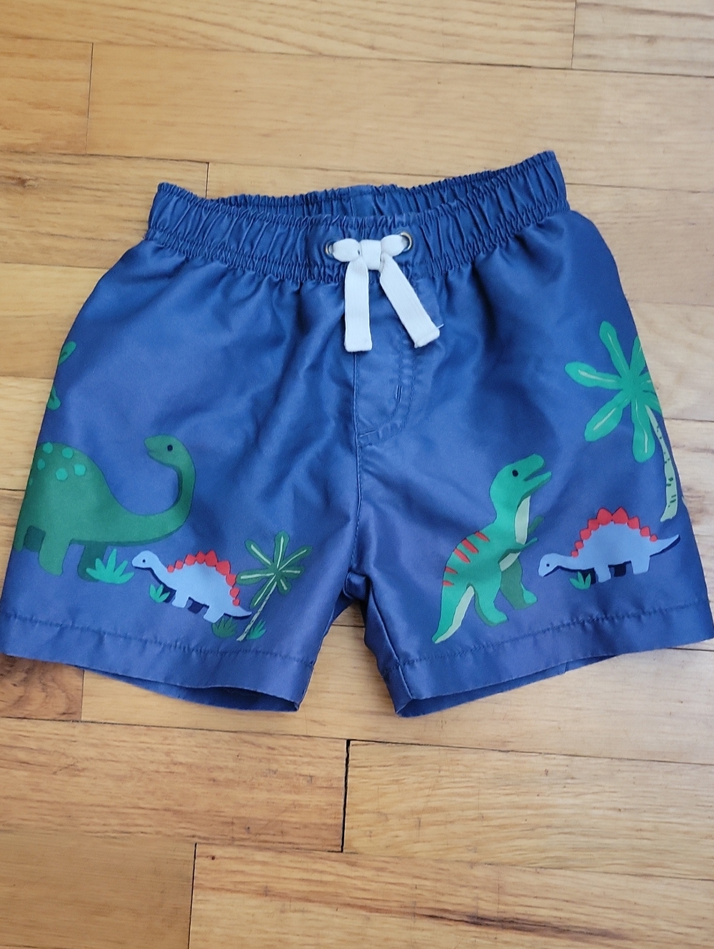 Dino Swim Shorts